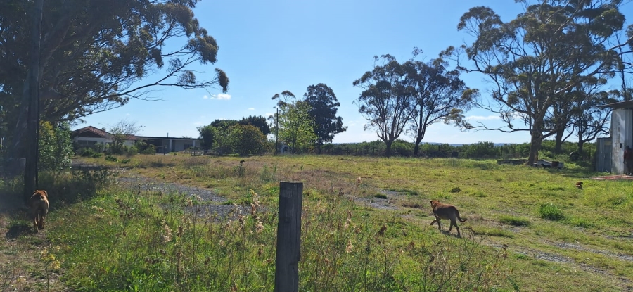 Commercial Property for Sale in Cove Ridge East Eastern Cape